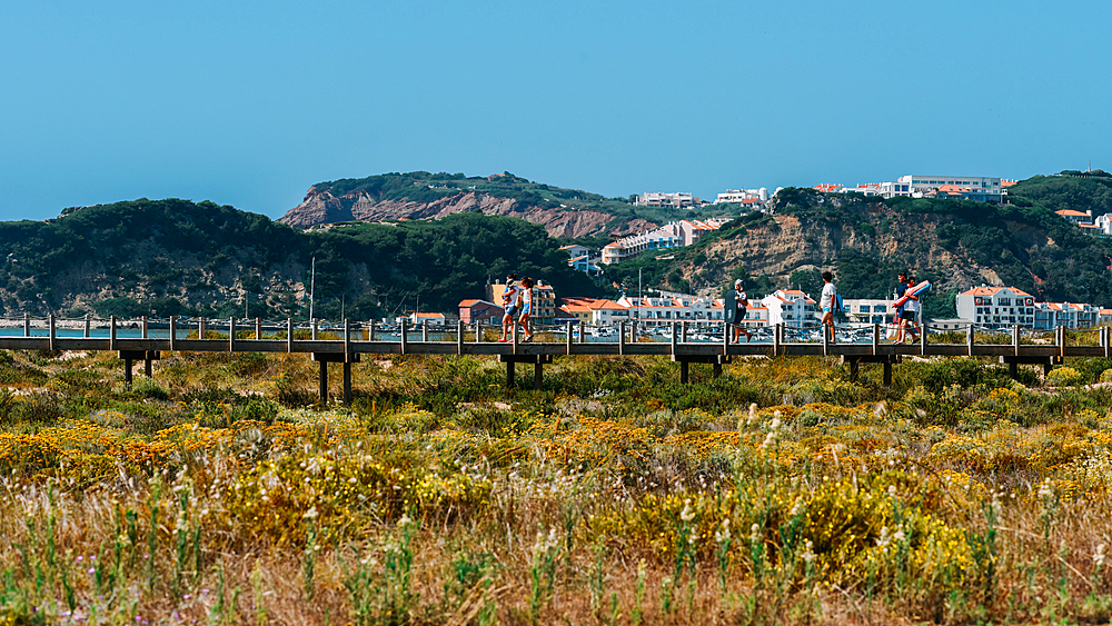 Visitors stroll along the wooden walkway in Sao Martinho do Porto, surrounded by vibrant wildflowers and breathtaking coastal views, Oeste, Portugal, Europe