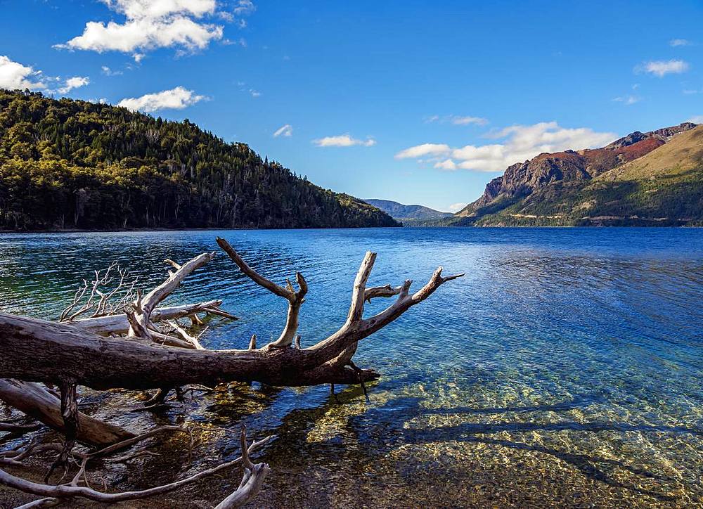 Munoz Beach, Gutierrez Lake, Nahuel Huapi National Park, Rio Negro Province, Argentina, South America