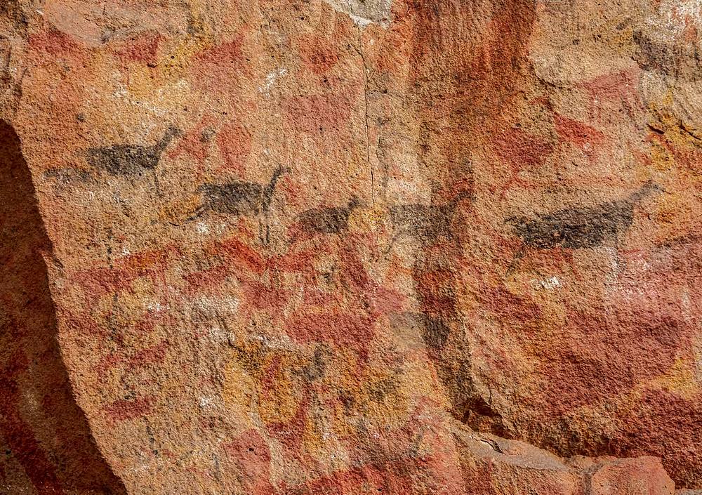 Cueva de las Manos, UNESCO World Heritage Site, Rio Pinturas Canyon, Santa Cruz Province, Patagonia, Argentina, South America