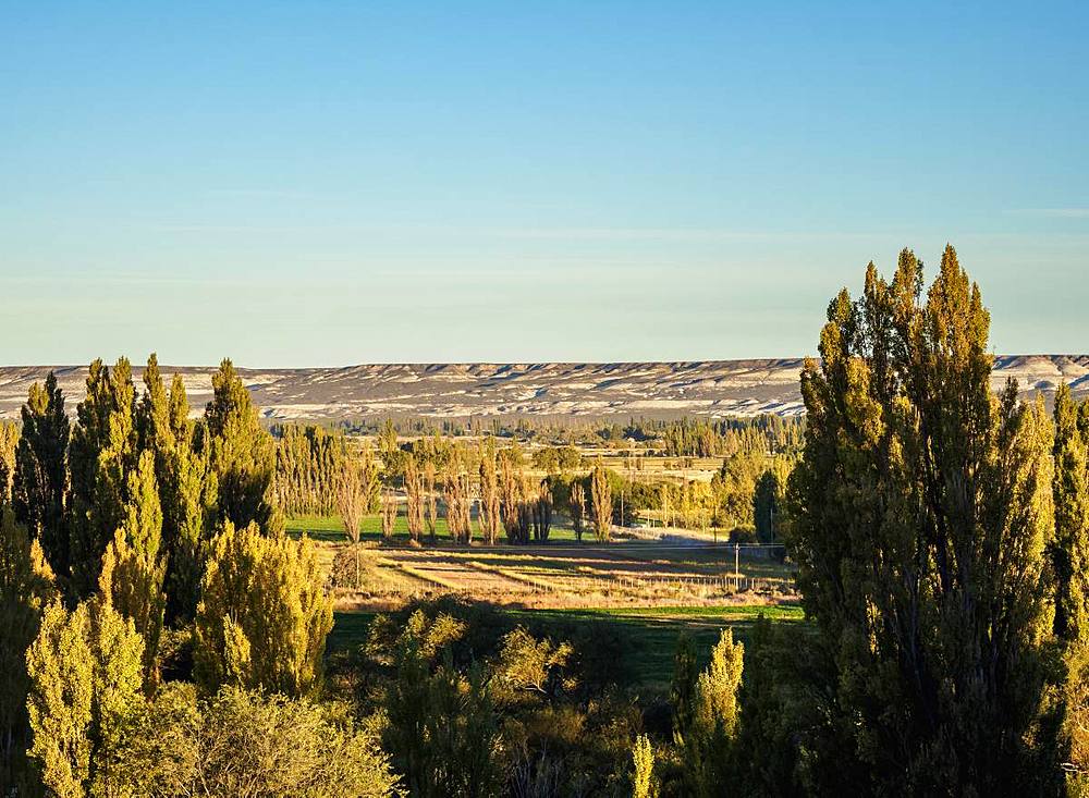 Chubut Valley, elevated view, Gaiman, The Welsh Settlement, Chubut Province, Patagonia, Argentina, South America