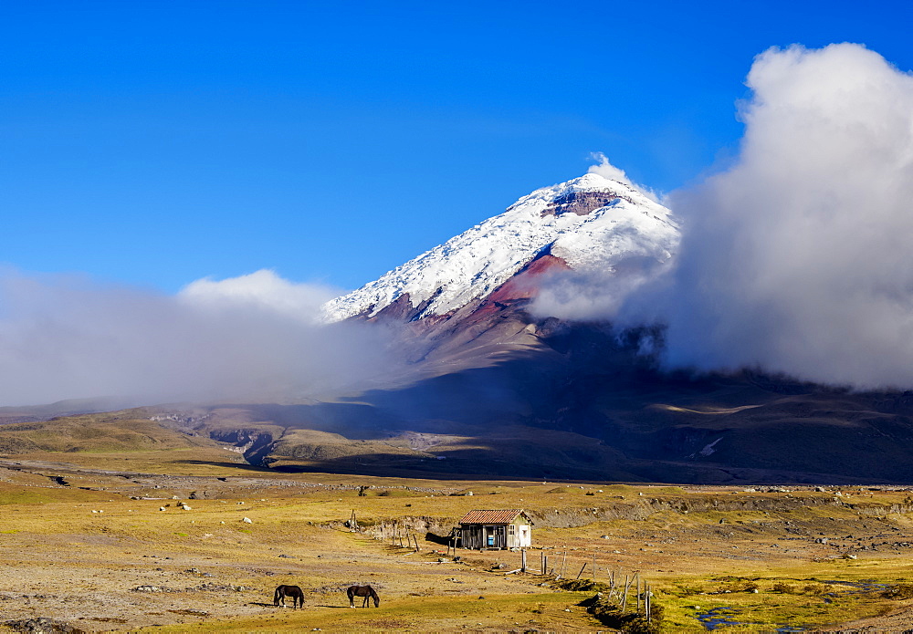 View towards Cotopaxi Volcano, Cotopaxi National Park, Cotopaxi Province, Ecuador, South America