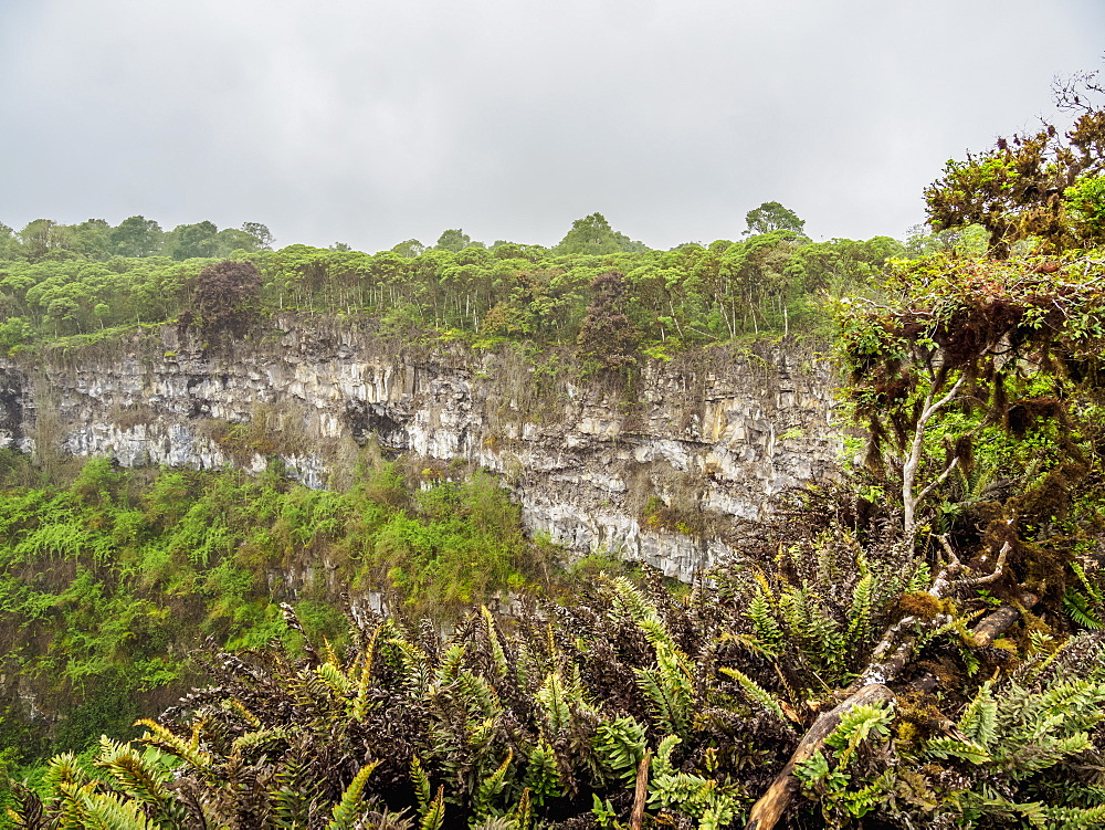 Los Gemelos Volcano, Santa Cruz (Indefatigable) Island, Galapagos, UNESCO World Heritage Site, Ecuador, South America