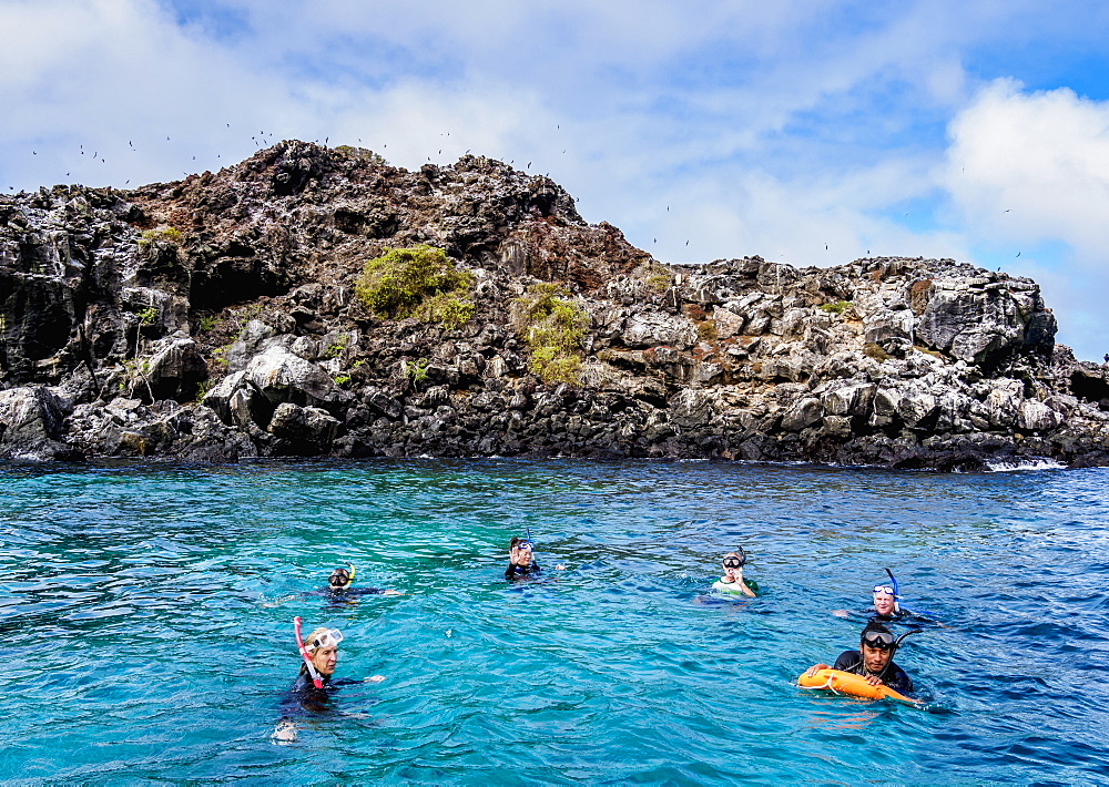 Snorkelling by the Islote Pitt, San Cristobal (Chatham) Island, Galapagos, UNESCO World Heritage Site, Ecuador, South America