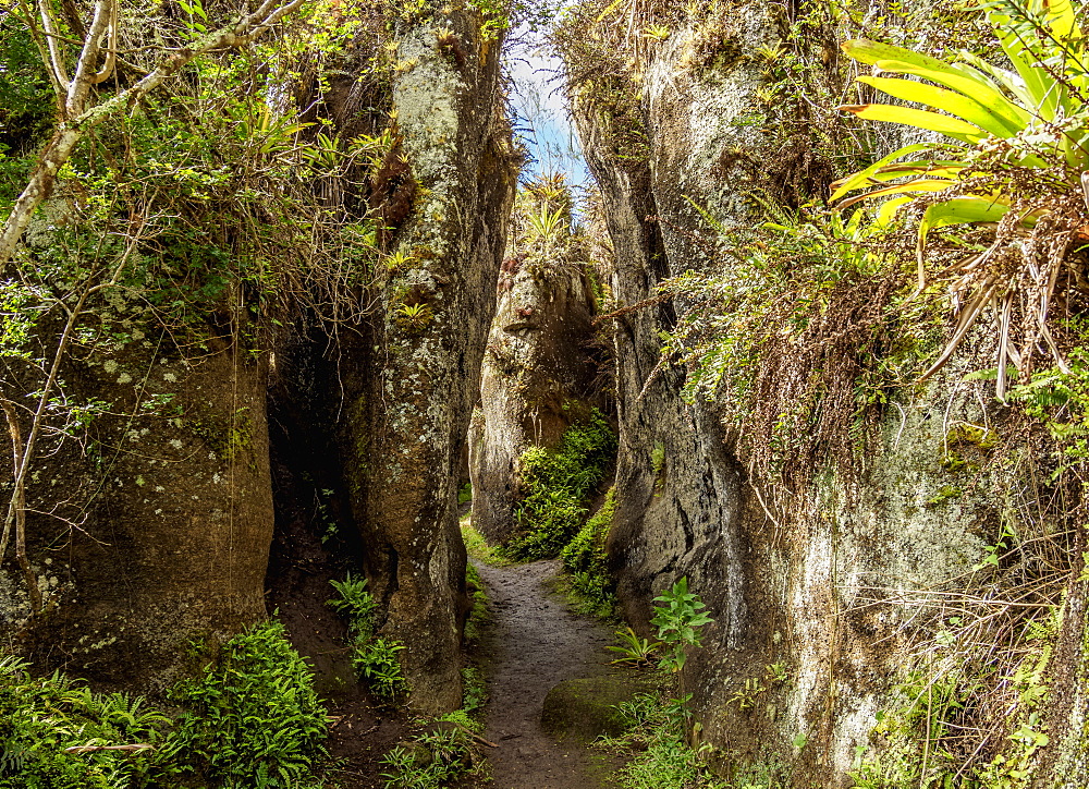 Rock Labyrinth, Asilo de la Paz, Highlands of Floreana (Charles) Island, Galapagos, UNESCO World Heritage Site, Ecuador, South America