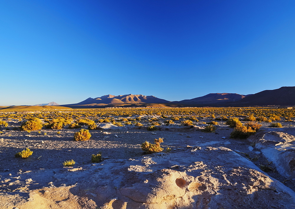 Landscape near the Villa Mar village at sunset, Nor Lipez Province, Potosi Department, Bolivia, South America