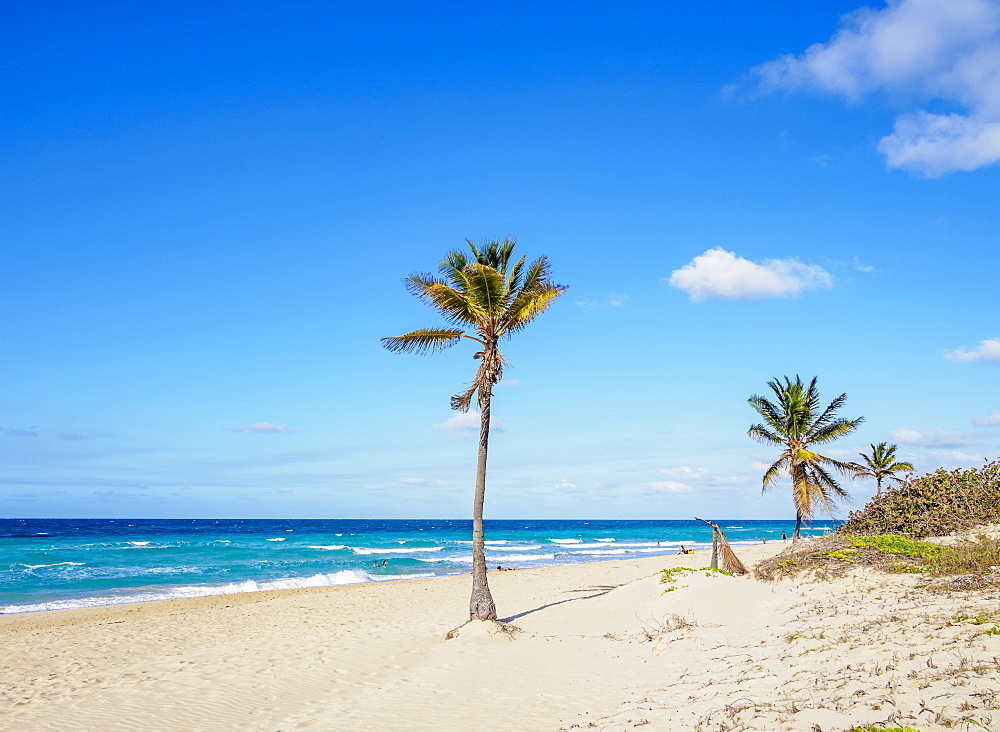 Santa Maria del Mar Beach, Habana del Este, Havana, La Habana Province, Cuba, West Indies, Central America