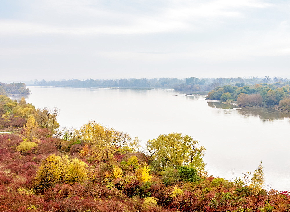 Vistula River, elevated view, Kaliszany Kolonia, Lublin Voivodeship, Poland, Europe