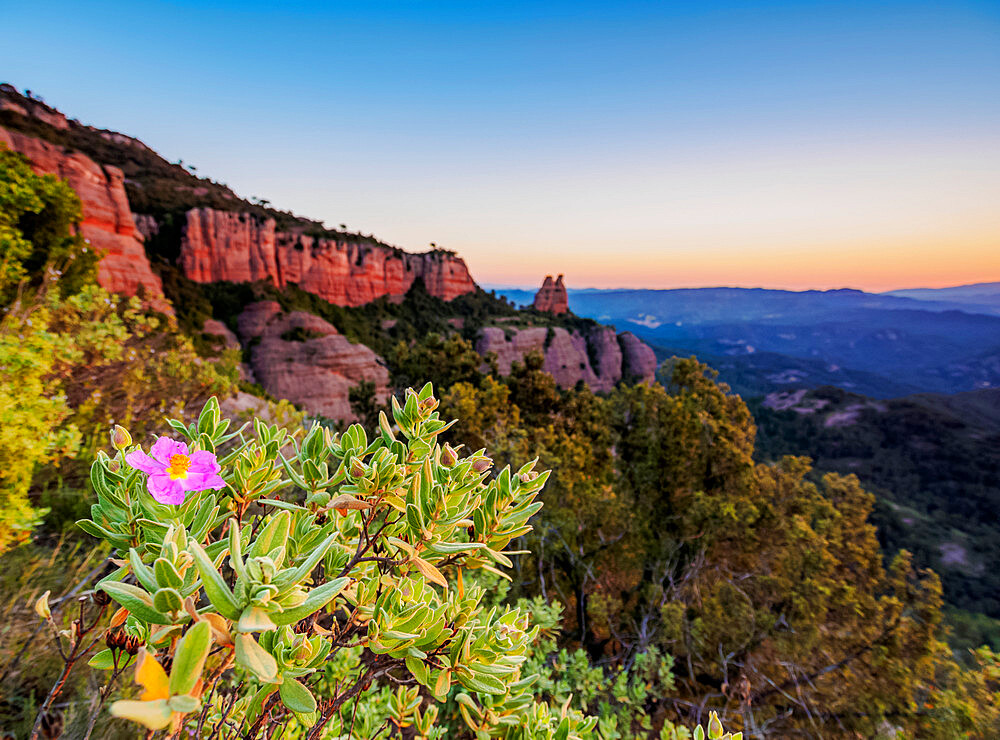 La Castellassa de Can Torras and La Mola at sunrise, Sant Llorenc del Munt Natural Park, Matadepera, Catalonia, Spain, Europe