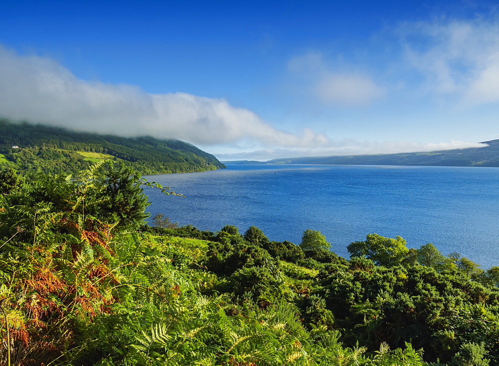 Landscape of Loch Ness, Drumnadrochit, Highlands, Scotland, United Kingdom, Europe