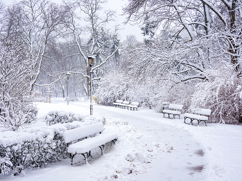 Saxon Garden, winter, Warsaw, Masovian Voivodeship, Poland, Europe