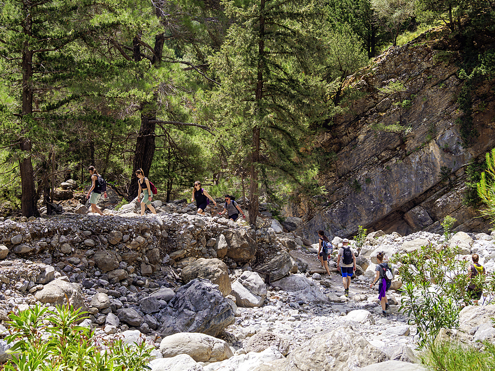 People trekking at the Samaria Gorge, Chania Region, Crete, Greek Islands, Greece, Europe