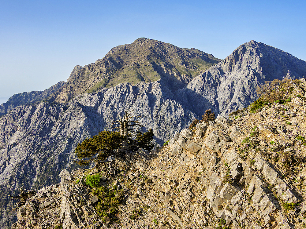 Samaria Gorge, elevated view, Chania Region, Crete, Greek Islands, Greece, Europe