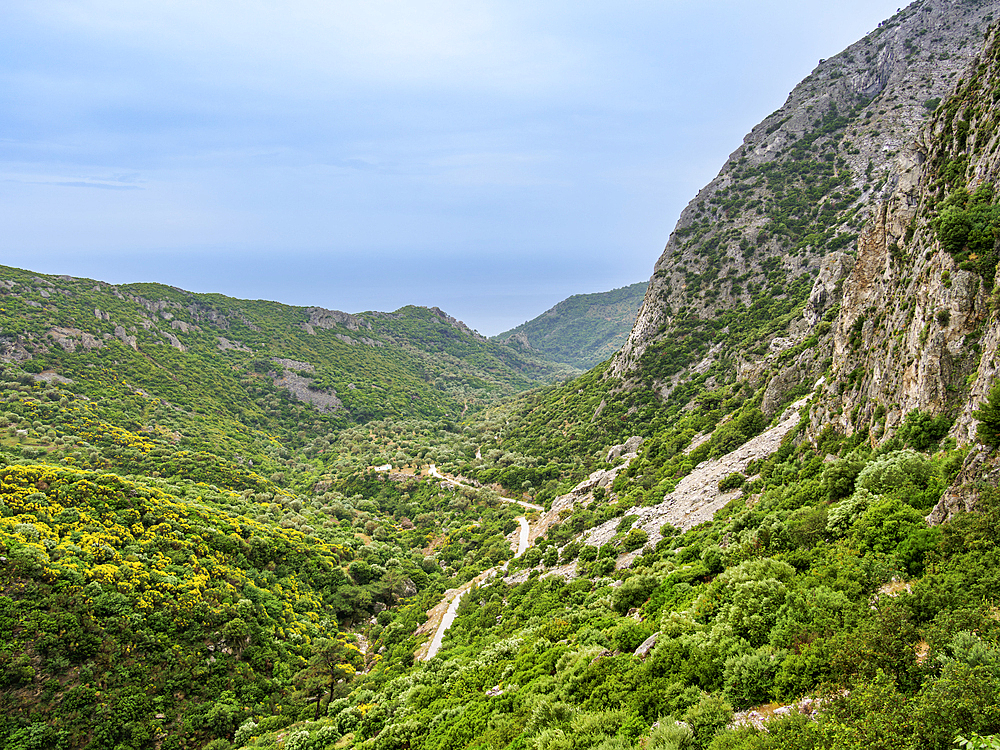 Landscape of Mount Kerkis Valley, Samos Island, North Aegean, Greek Islands, Greece, Europe