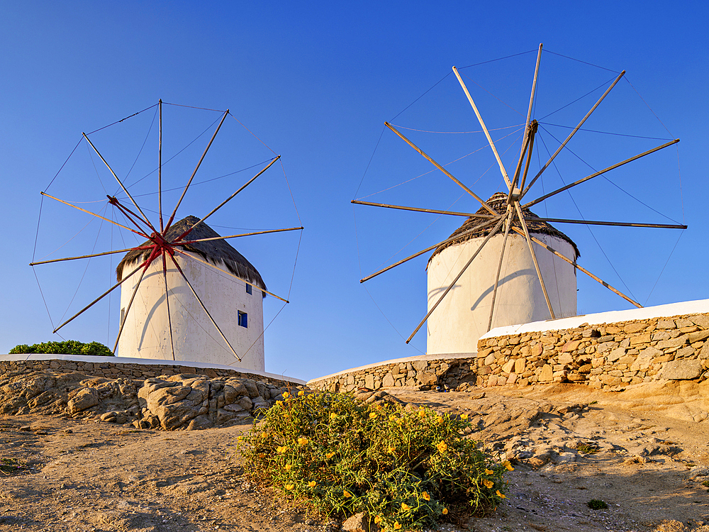 Chora Windmills at sunrise, Mykonos Town, Mykonos Island, Cyclades, Greek Islands, Greece, Europe