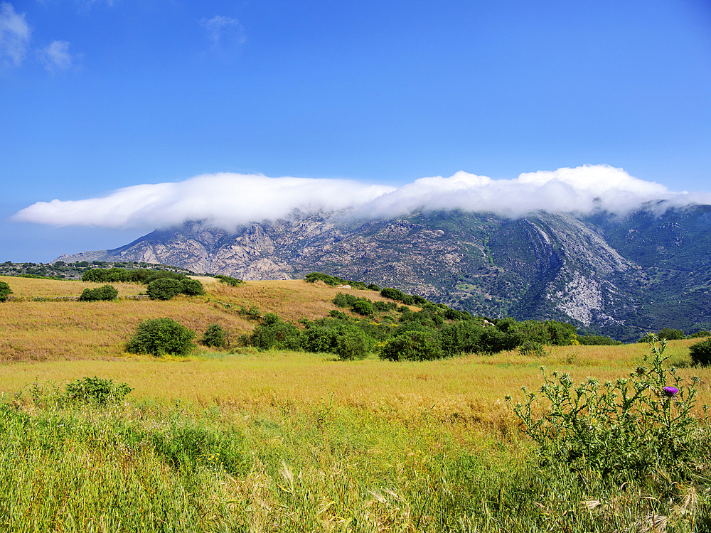 Landscape of Naxos Island, Cyclades, Greek Islands, Greece, Europe