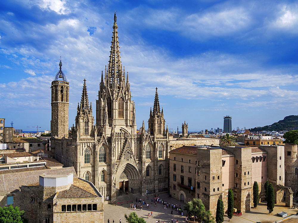 Metropolitan Cathedral Basilica of the Holy Cross and Saint Eulalia, elevated view, Gothic Quarter, Barcelona, Catalonia, Spain, Europe