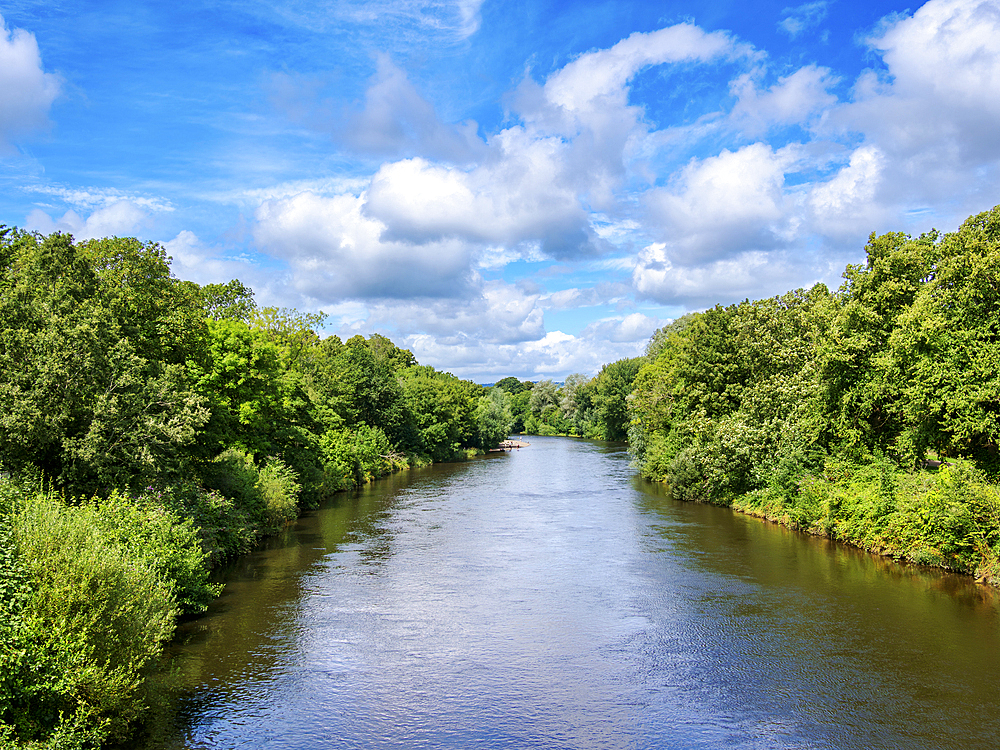 River Taff, Bute Park, Cardiff, Wales, United Kingdom, Europe