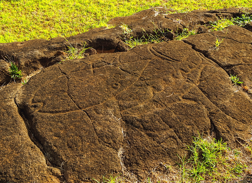 Petroglyphs in Papa Vaka, Rapa Nui National Park, UNESCO World Heritage Site, Easter Island, Chile, South America