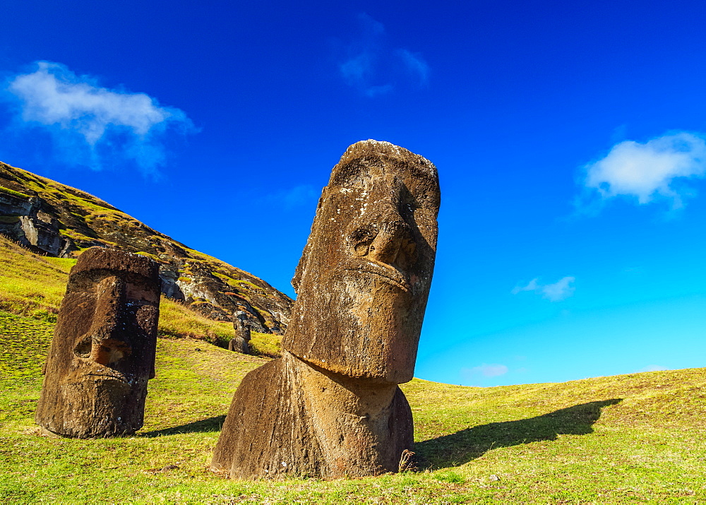 Moais at the quarry on the slope of the Rano Raraku Volcano, Rapa Nui National Park, UNESCO World Heritage Site, Easter Island, Chile, South America