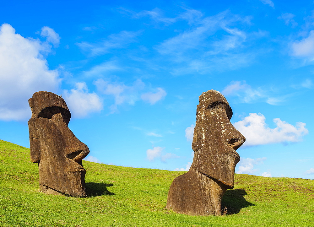 Moais at the quarry on the slope of the Rano Raraku Volcano, Rapa Nui National Park, UNESCO World Heritage Site, Easter Island, Chile, South America