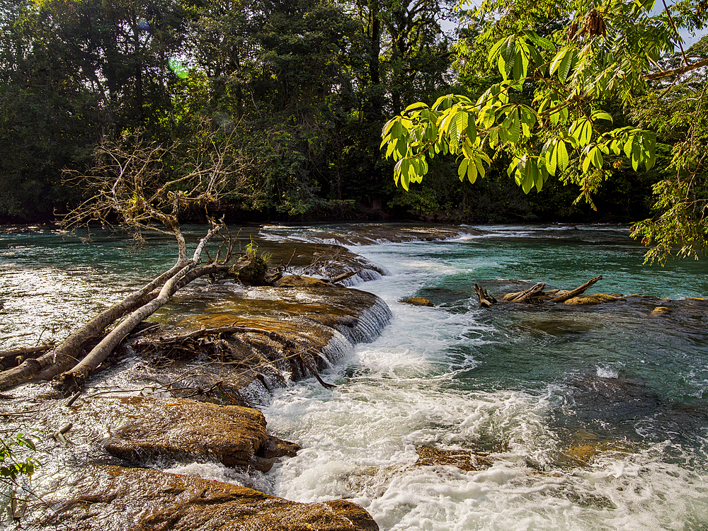 Xanil River, Arroyo Agua Azul, Chiapas State, Mexico