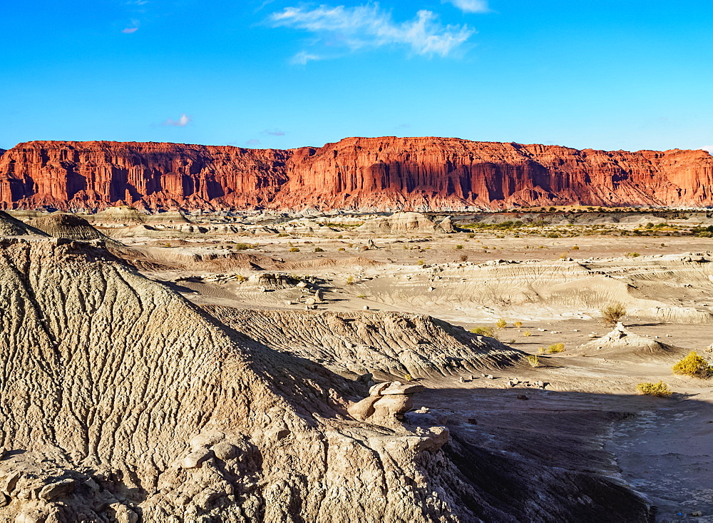 Ischigualasto Provincial Park, UNESCO World Heritage Site, San Juan Province, Argentina, South America