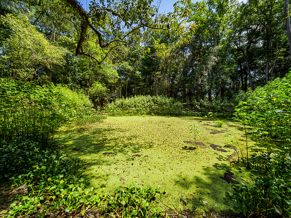 Water Reservoir, Caracol Archaeological Site, Cayo District, Belize