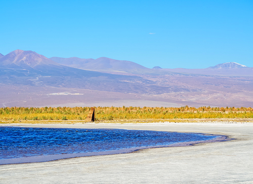 Laguna Baltinache, Salar de Atacama, Antofagasta Region, Chile, South America