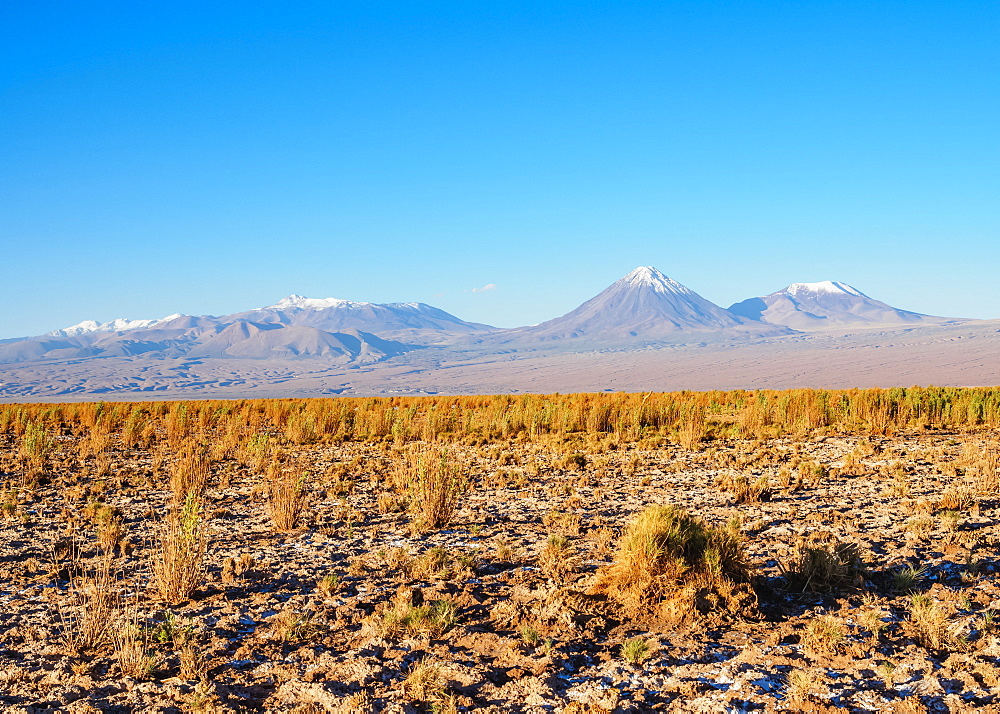 Salar de Atacama, Atacama Desert, Antofagasta Region, Chile, South America