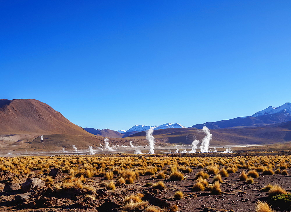 Geysers El Tatio, Antofagasta Region, Chile, South America