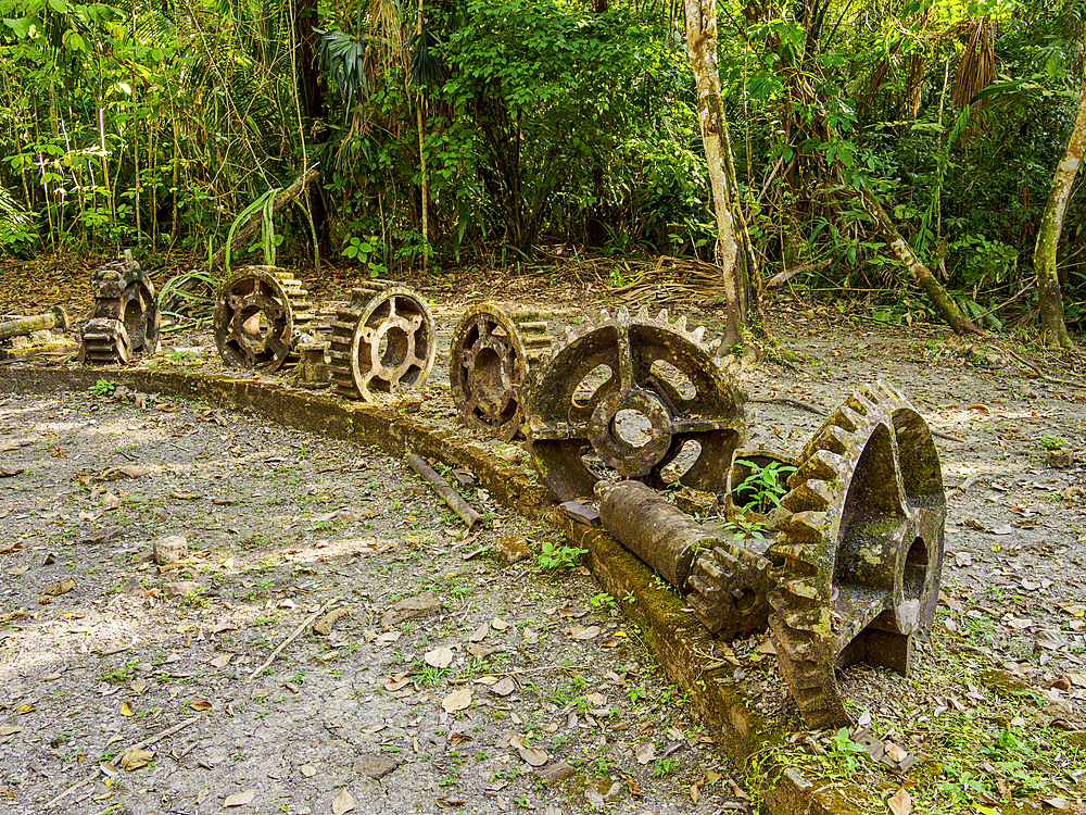 19th-Century Sugar Mill Ruins near Lamanai Archaeological Reserve, Indian Church, Orange Walk District, Belize