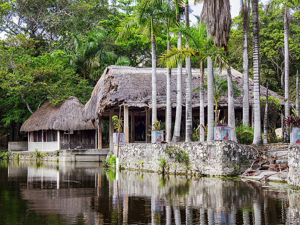 The Mayan Garden seen from the New River, Tower Hill, Orange Walk District, Belize