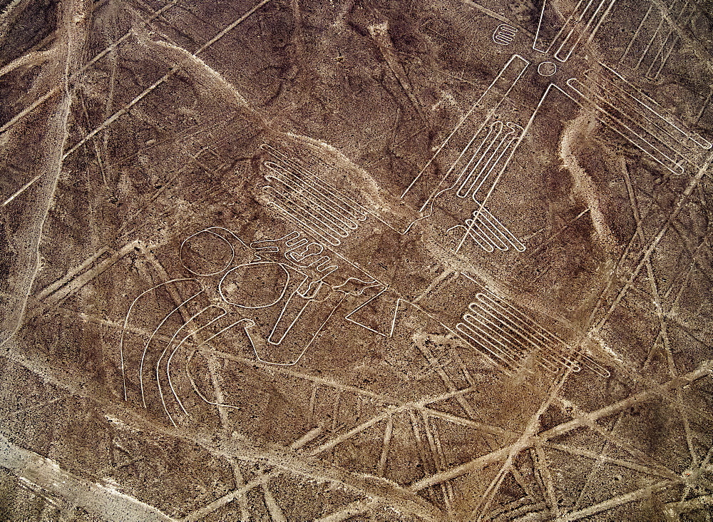 The Bird Geoglyph, aerial view, Nazca, UNESCO World Heritage Site, Ica Region, Peru, South America