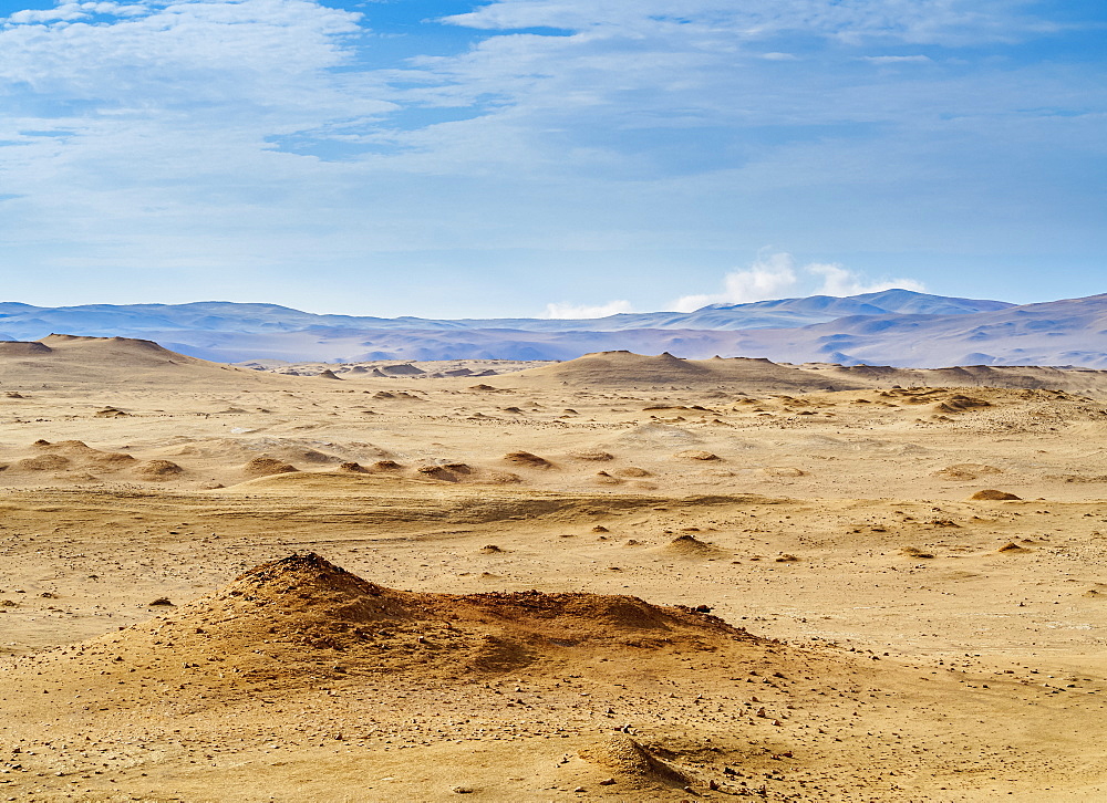 Paracas National Reserve, Ica Region, Peru, South America