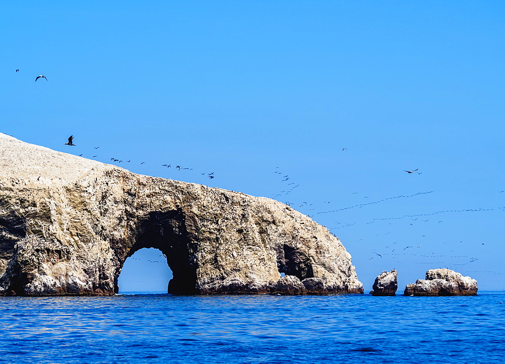 Ballestas Islands near Paracas, Ica Region, Peru, South America