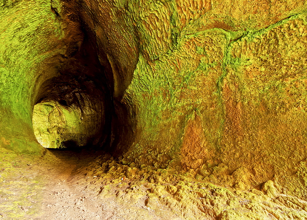 Volcanic tunnel, Caldeira, Graciosa Natural Park, Graciosa Island, Azores, Portugal, Atlantic, Europe