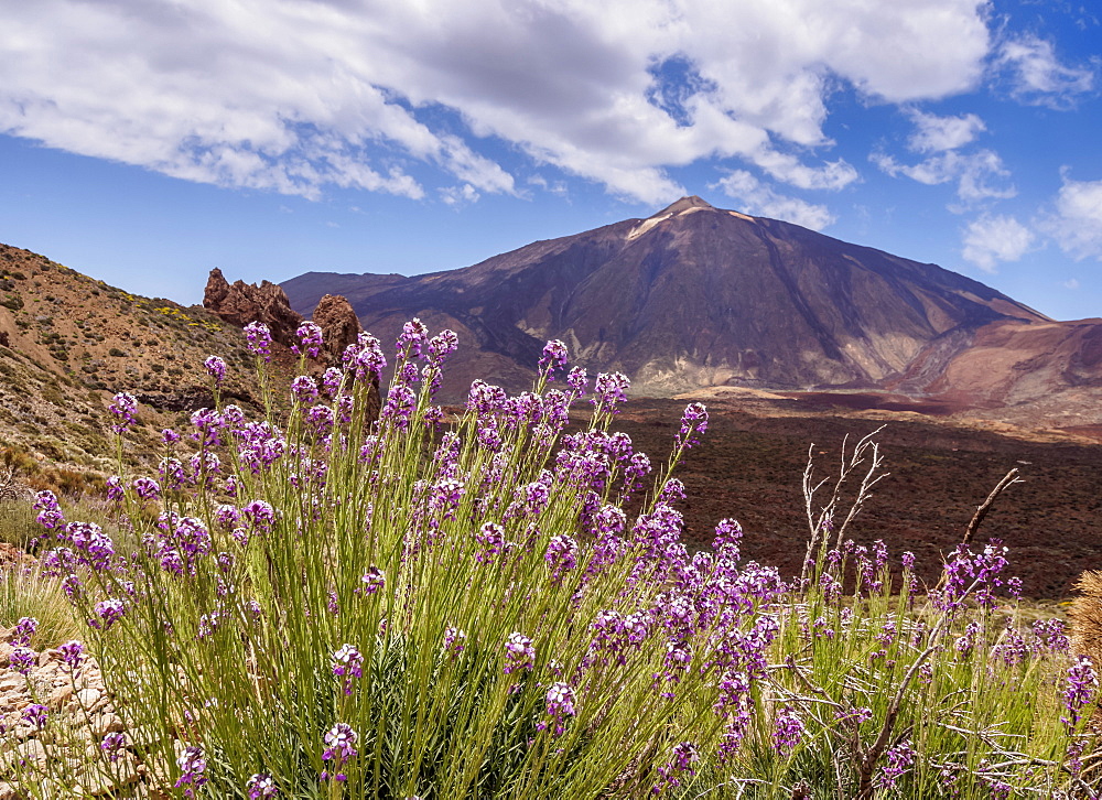 Teide Mountain, Teide National Park, UNESCO World Heritage Site, Tenerife Island, Canary Islands, Spain, Europe