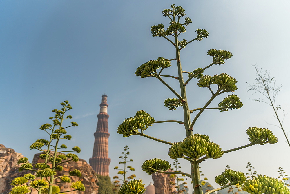 Qutub Minar, UNESCO World Heritage Site, New Delhi, India, Asia