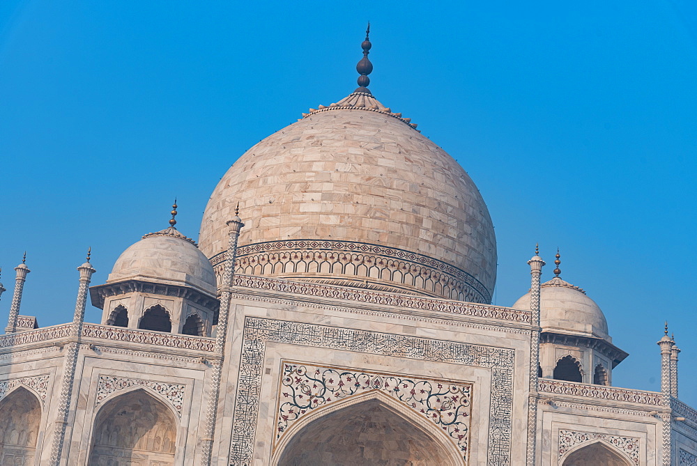 Details of the Taj Mahal, UNESCO World Heritage Site, Agra, Uttar Pradesh, India, Asia