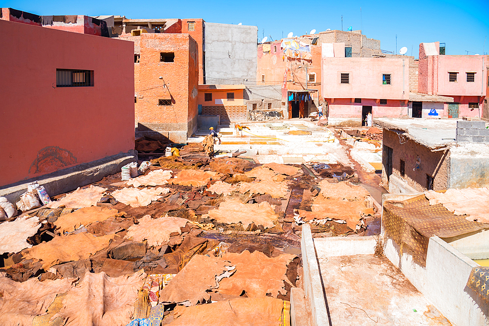 Marrakech Tanneries, Marrakesh, Morocco, North Africa, Africa