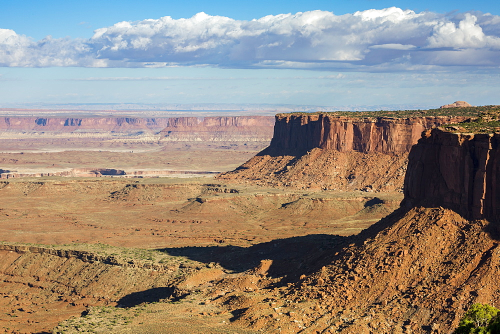 Rock formations in Canyonlands National Park, Moab, Utah, United States of America, North America