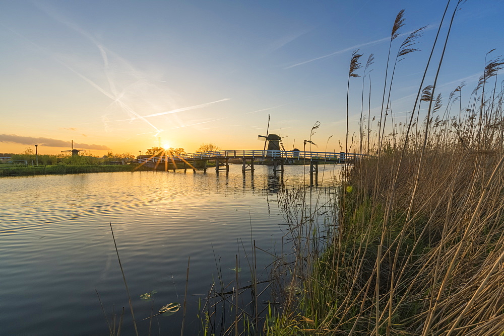 Bridge over the canal with windmills and reeds in the foreground, Kinderdijk, UNESCO World Heritage Site, Molenwaard municipality, South Holland province, Netherlands, Europe