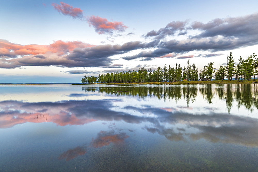 Fir trees and clouds reflecting on the suface of Hovsgol Lake at sunset, Hovsgol province, Mongolia, Central Asia, Asia