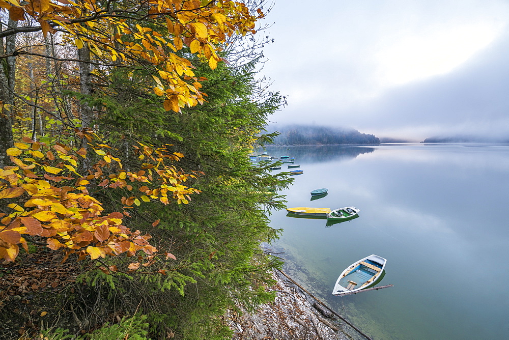 Boats on Sylvenstein Lake in autumn, Bad Tolz-Wolfratshausen district, Bavaria, Germany, Europe