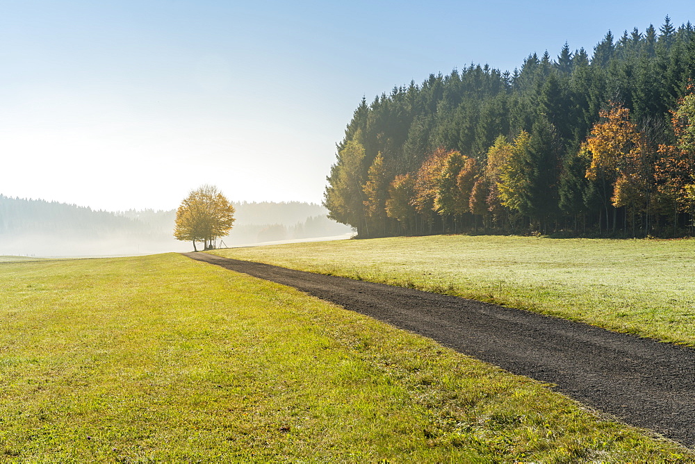 Road in the countryside in autumn, Heinstetten, Baden-Wurttemberg, Germany, Europe