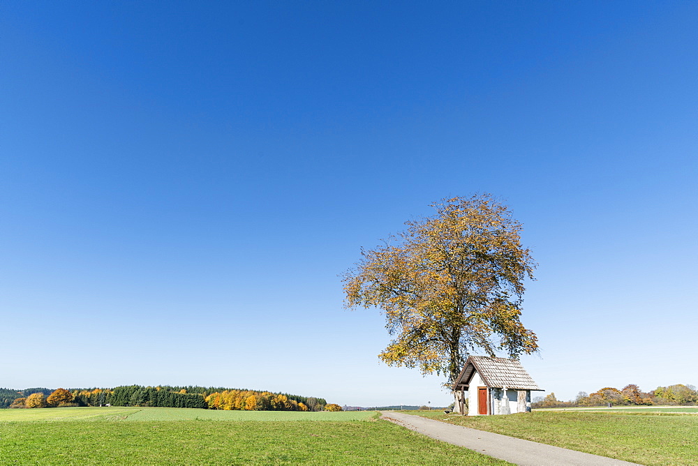 Little chapel under a tree, Schwenningen, Baden-Wurttemberg, Germany, Europe