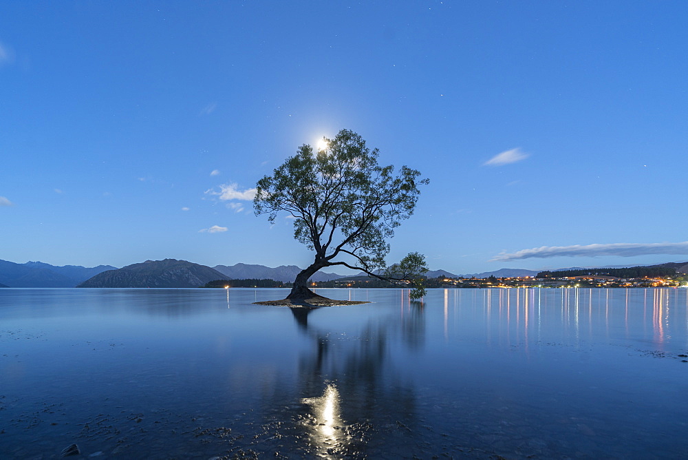 The lone tree in Lake Wanaka under the moonlight at dusk, Wanaka, Queenstown Lakes district, Otago region, South Island, New Zealand, Pacific