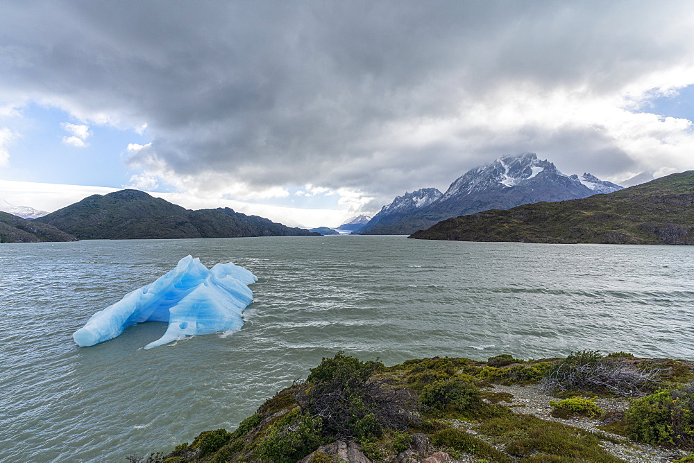 Icebergs on Lago Grey, with Cerro Paine Grande and Grey glacier in the background, Torres del Paine National Park, Chile, South America