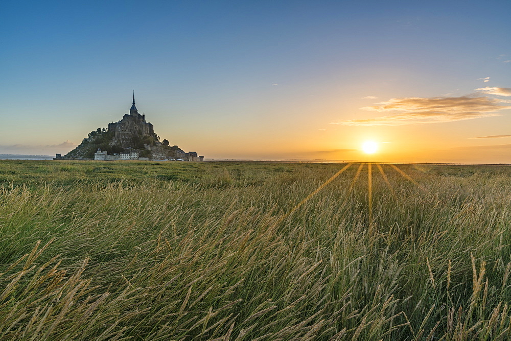 Sunrise with grass in the foreground, Normandy, France, Europe