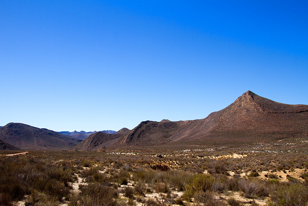 Landscape of the Aquila Safari Game Reserve, Cape Town, South Africa, Africa